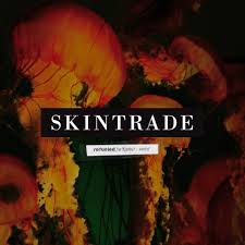 Caratula para cd de Skintrade - Refueled